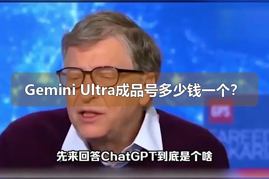 Gemini Ultra成品号多少钱一个？